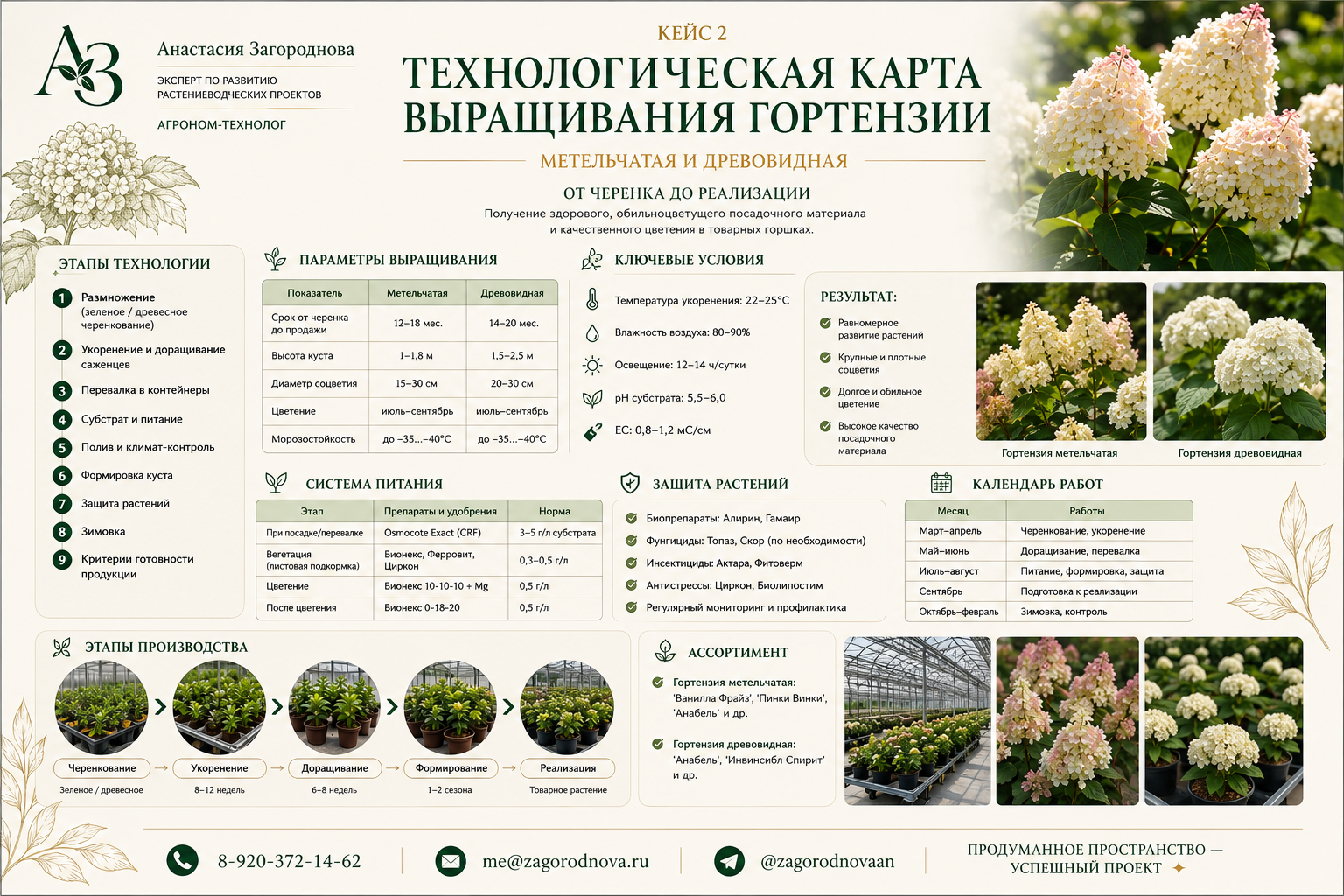 Кейс: технологическая карта гортензии