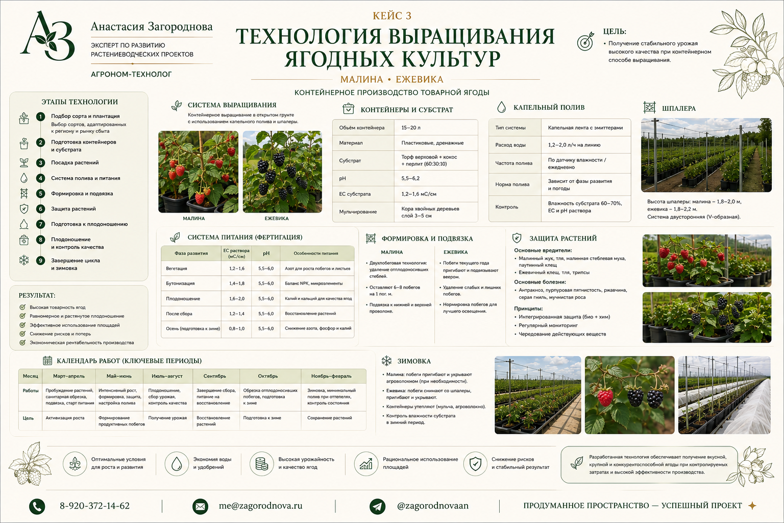 Кейс: технология ягодных культур