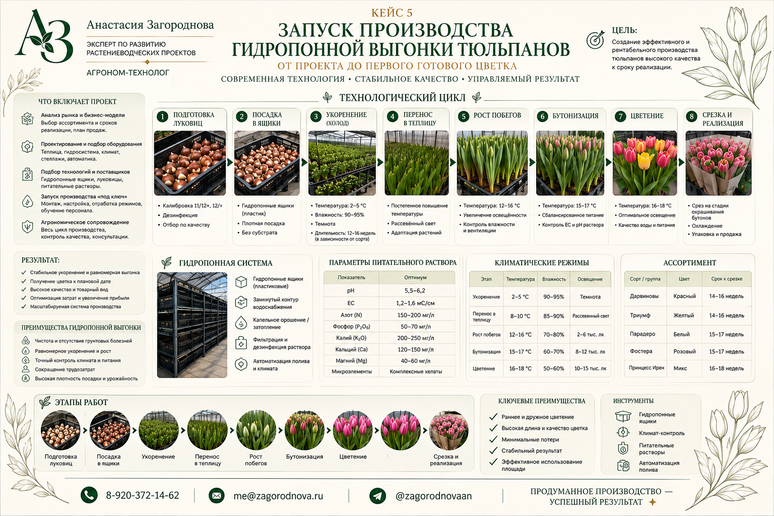 Кейс: гидропонная выгонка тюльпанов
